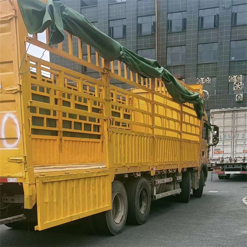 常平镇吉安市物流：多元服务与高效运输线路探秘