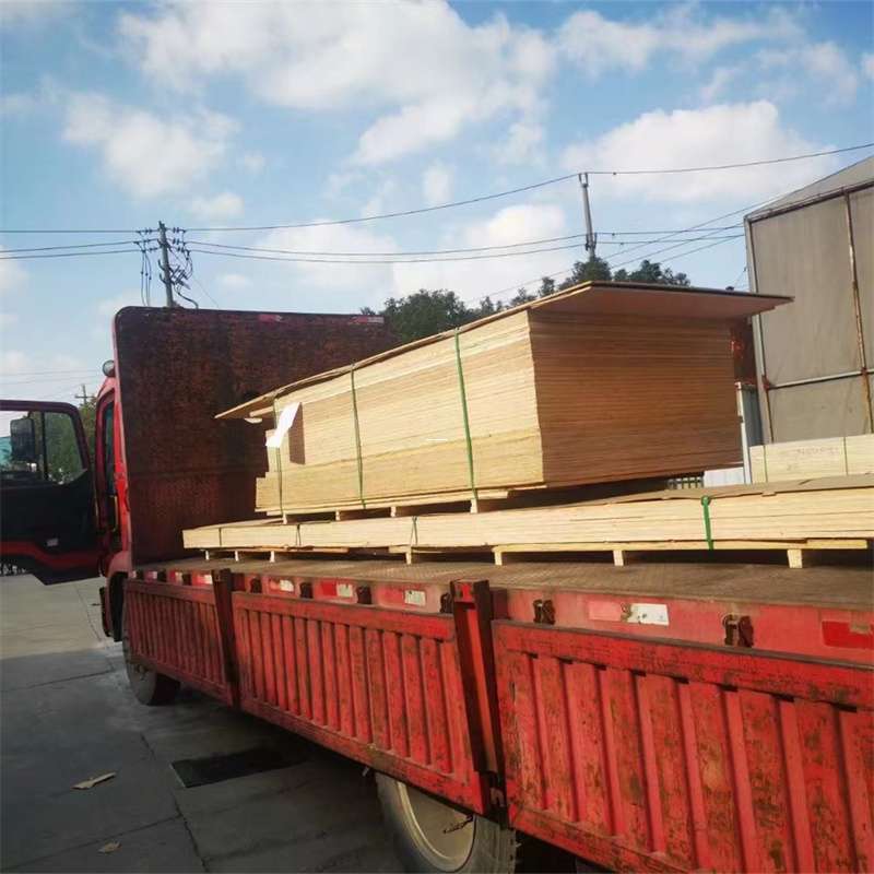 常平镇通化市物流运输：多元服务与高效线路探秘